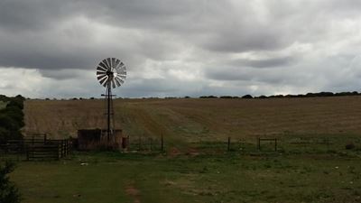Wheat and stock farm up for tender