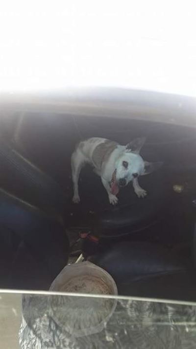 Dink tog aan Wagter in die hitte