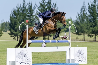 Linda Squair not horsing around