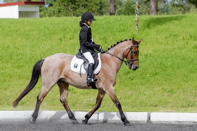 George plays host to horse riders