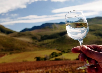 Jakkalsvlei brings home great grape harvest