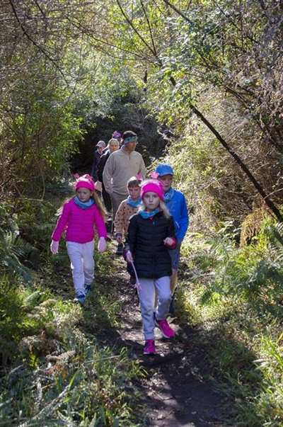 Don't miss family forest hike