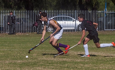 Kameel skitter vir Kwaggas