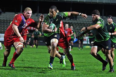Oud-Kwagga sink SWD Arende