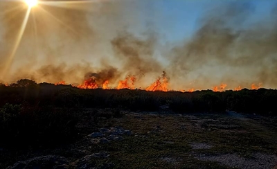 Gouritsmond-brand onder beheer