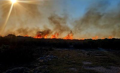 Gouritsmond-brand onder beheer