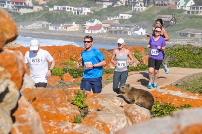 Stilbaai hou tweede Hessequa Erfenisfees