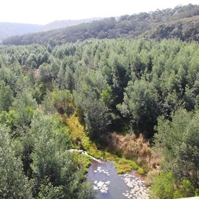 Langkloof’s Krom River in serious ecological danger