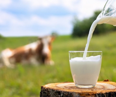 Farm dumps 12 000 litres of milk due to Eskom’s load shedding