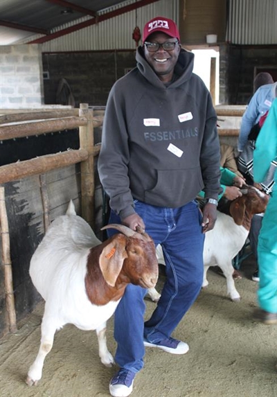 Breeding full blood cattle from Karoo,  priority for Kenya farmers