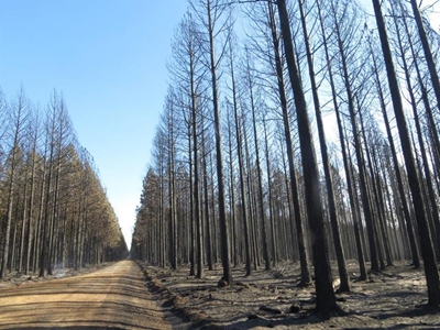Standing together to recover from disaster