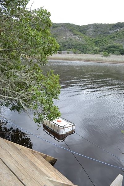 Houer in rivier bevat dalk dodelike gif