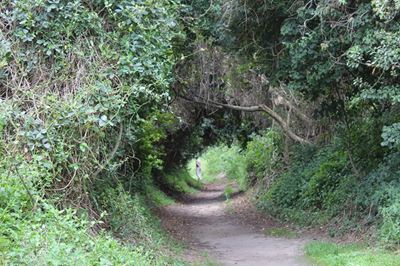 SANParks tightens security