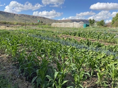 Farmers welcome Tshwane metro loan scheme