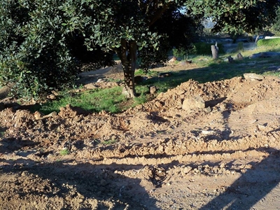 'Permission given to dump sand'