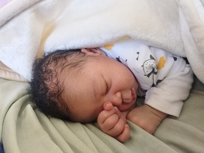 Vyf nuwejaarsbabas vir Cradock
