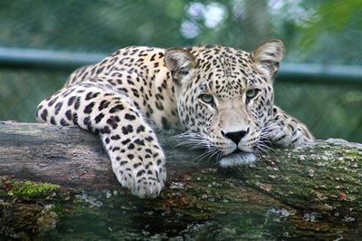 Unique bush & beach holiday destinations in South Africa 