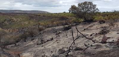 Fire update: Gouritsmond