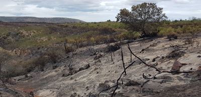 Fire update: Gouritsmond