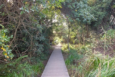 4 new trails get Green Flag status