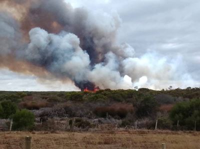 Vuur by Stilbaai tans buite beheer