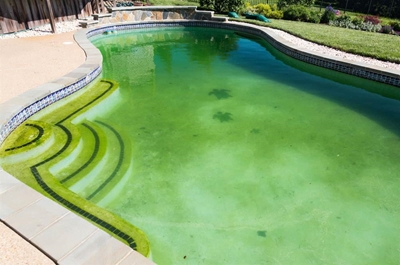 How to remedy your green pool