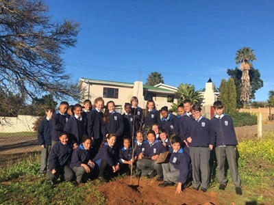 Hatties ‘plant hout’ vir die toekoms