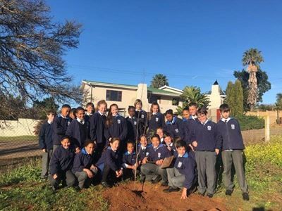 Hatties ‘plant hout’ vir die toekoms