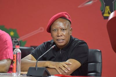 Malema sues ‘stubborn’ Kunene for calling him a cockroach