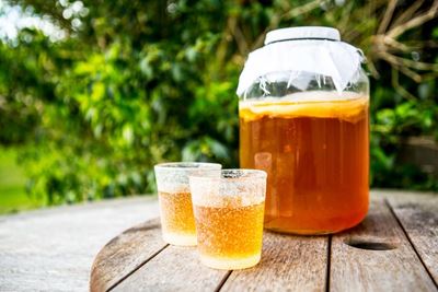 Kombucha is taking the health market by storm