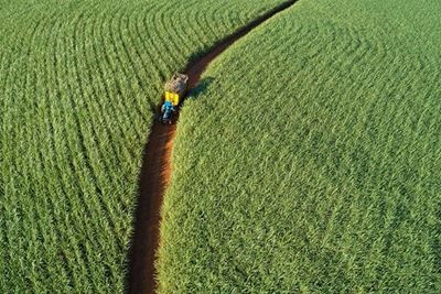 Tongaat Hulett is ‘still a going concern’, says CFO