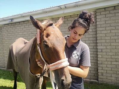 Lucky horse gets second chance