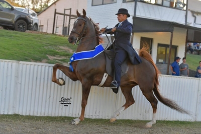 Uniondale Landbouskou 'n groot sukses