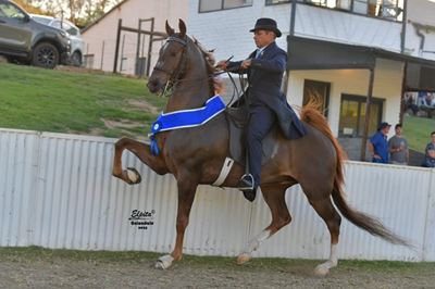 Uniondale Landbouskou 'n groot sukses