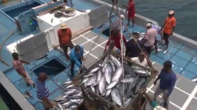 Fishing companies caution government over rights allocations