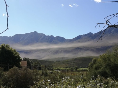Springkane trek langs Swartberge