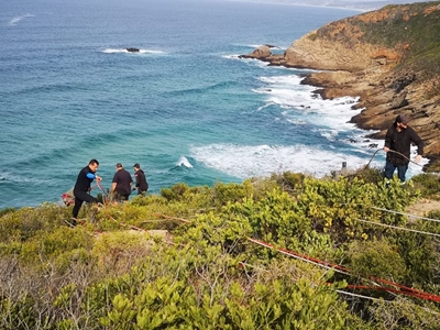 Search operation now a recovery operation