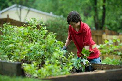 Keep your plants alive while on vacation