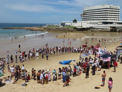 Plett totally against gas