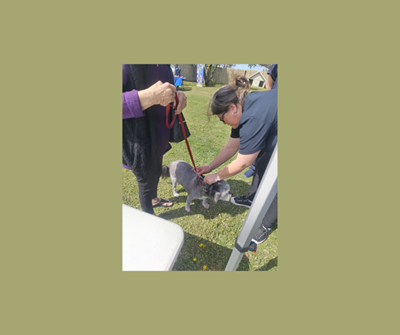 80 local dogs vaccinated in SPCA Rabies Day campaign