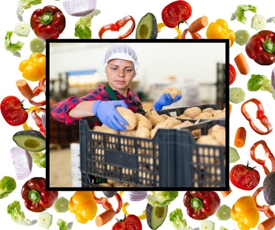 Maf Roda and Maintech launch Maftech joint venture in Western Cape