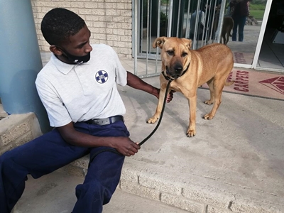 Let's find Lily a home