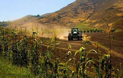 Farming bodies join hands to supply food aid after unrest