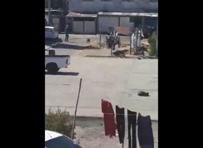 SPCA to investigate SANDF dog shooting incident 