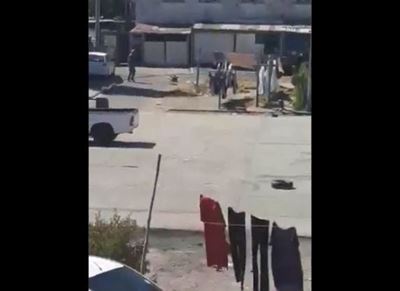 SPCA to investigate SANDF dog shooting incident 