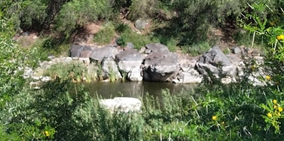 14-jarige verdrink glo in watergat