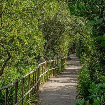 Stap die sober pad saam met Sanca by botaniese tuin