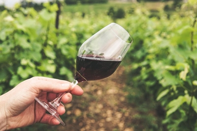 Wine and fitness at the Simola Sunset Wine Run