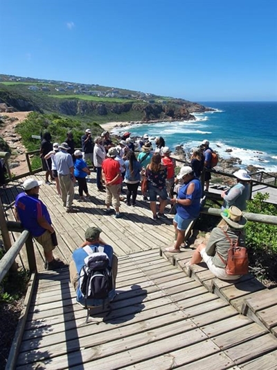 Cape tour guides in town
