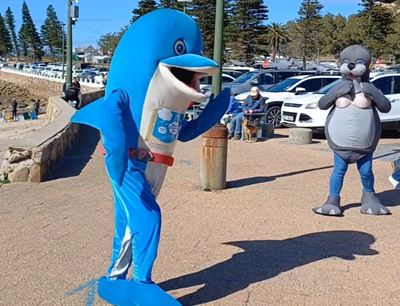 Mosselbaai se strande skoner ná inisiatief